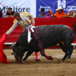 León (México), sábado 25 de enero de 2020