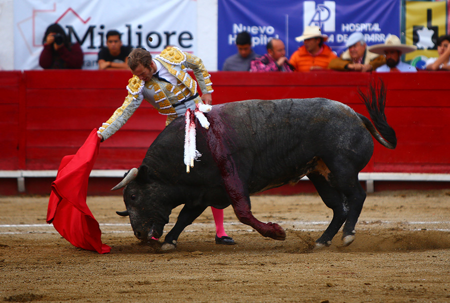 León (México), sábado 25 de enero de 2020