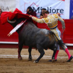 León (México), sábado 25 de enero de 2020