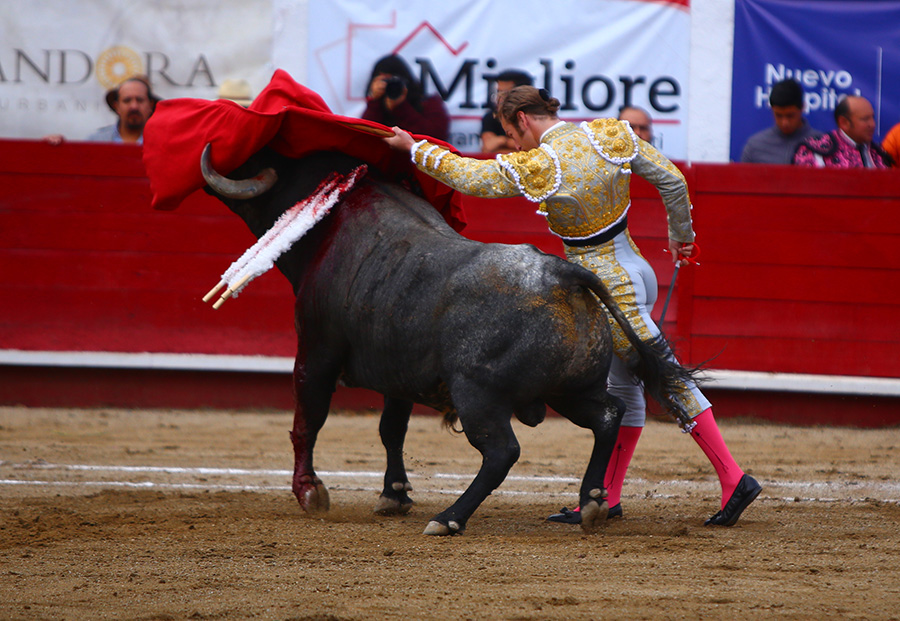 León (México), sábado 25 de enero de 2020
