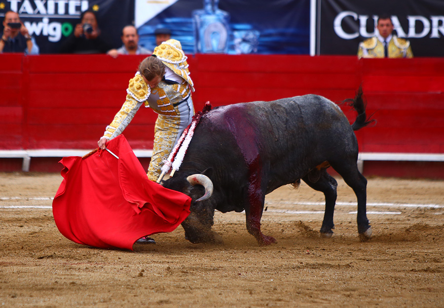 León (México), sábado 25 de enero de 2020