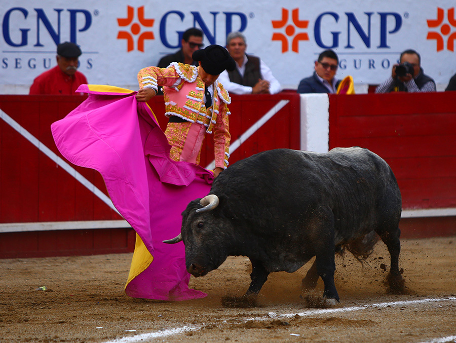 León (México), sábado 25 de enero de 2020