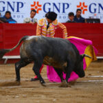 León (México), sábado 25 de enero de 2020