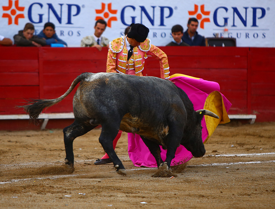 León (México), sábado 25 de enero de 2020