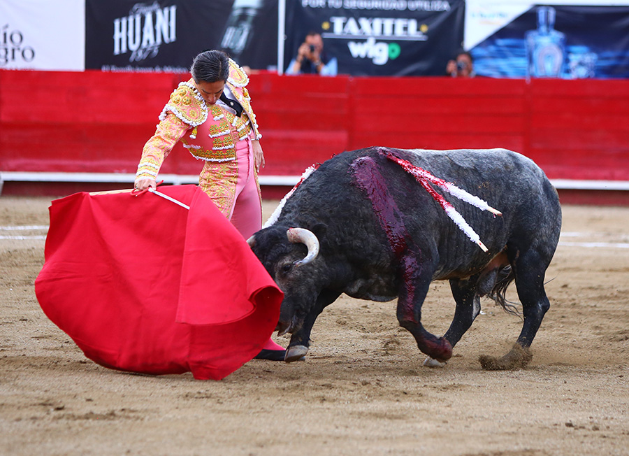 León (México), sábado 25 de enero de 2020