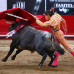 León (México), sábado 25 de enero de 2020