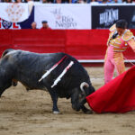 León (México), sábado 25 de enero de 2020