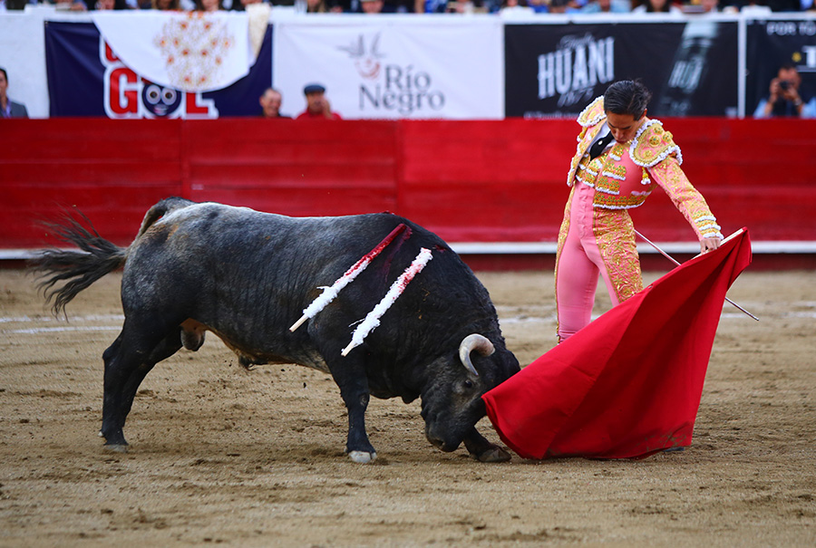 León (México), sábado 25 de enero de 2020