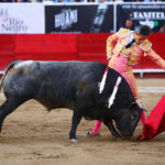 León (México), sábado 25 de enero de 2020