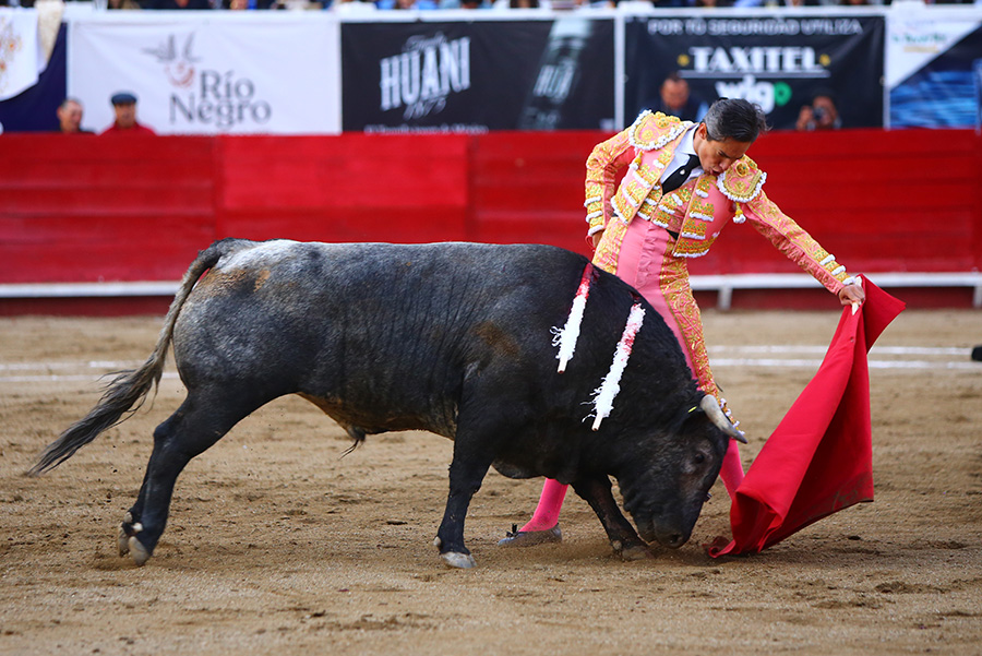 León (México), sábado 25 de enero de 2020