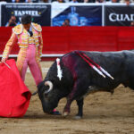 León (México), sábado 25 de enero de 2020