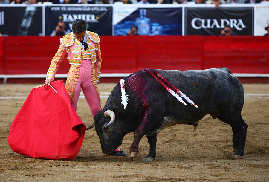 León (México), sábado 25 de enero de 2020