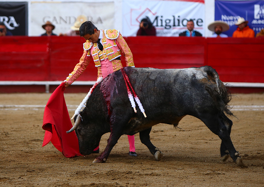 León (México), sábado 25 de enero de 2020