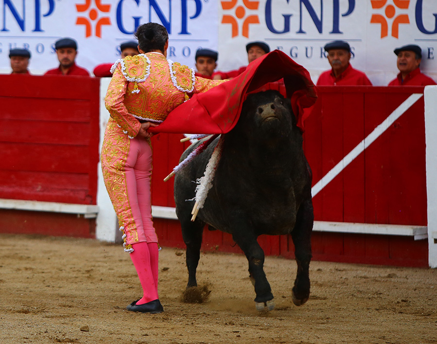 León (México), sábado 25 de enero de 2020