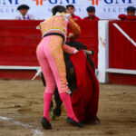 León (México), sábado 25 de enero de 2020