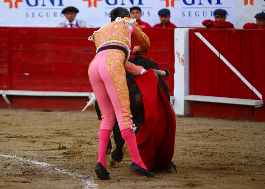 León (México), sábado 25 de enero de 2020