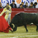 León (México), sábado 25 de enero de 2020