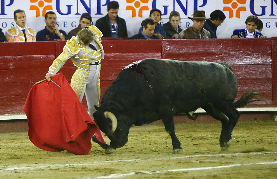 León (México), sábado 25 de enero de 2020