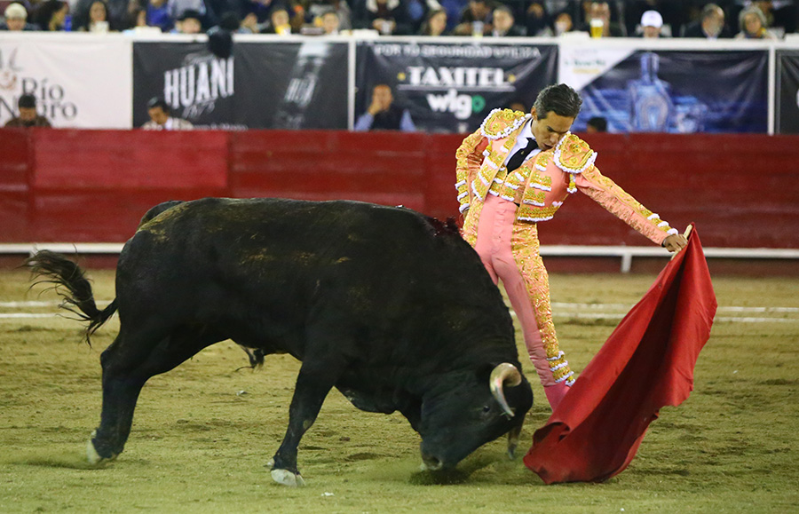 León (México), sábado 25 de enero de 2020