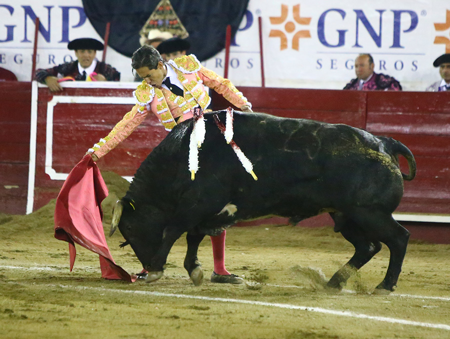 León (México), sábado 25 de enero de 2020