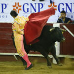 León (México), sábado 25 de enero de 2020