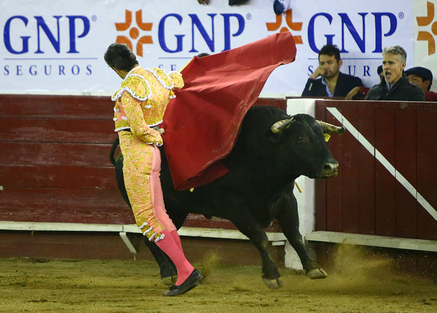 León (México), sábado 25 de enero de 2020