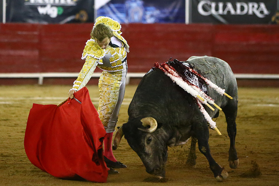 León (México), sábado 25 de enero de 2020