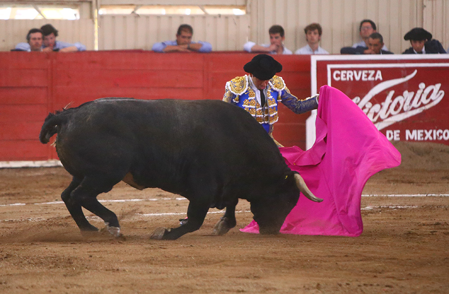 Moroleón. 15-1-2020