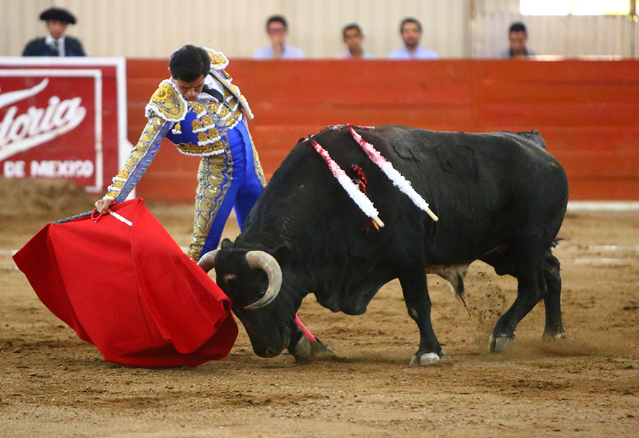 Moroleón. 15-1-2020