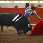 Moroleón. 15-1-2020