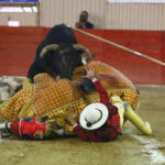 Moroleón. 15-1-2020