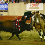 Moroleón. 15-1-2020