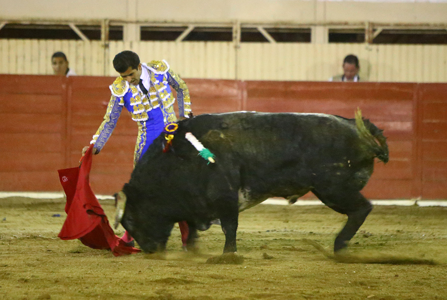 Moroleón. 15-1-2020