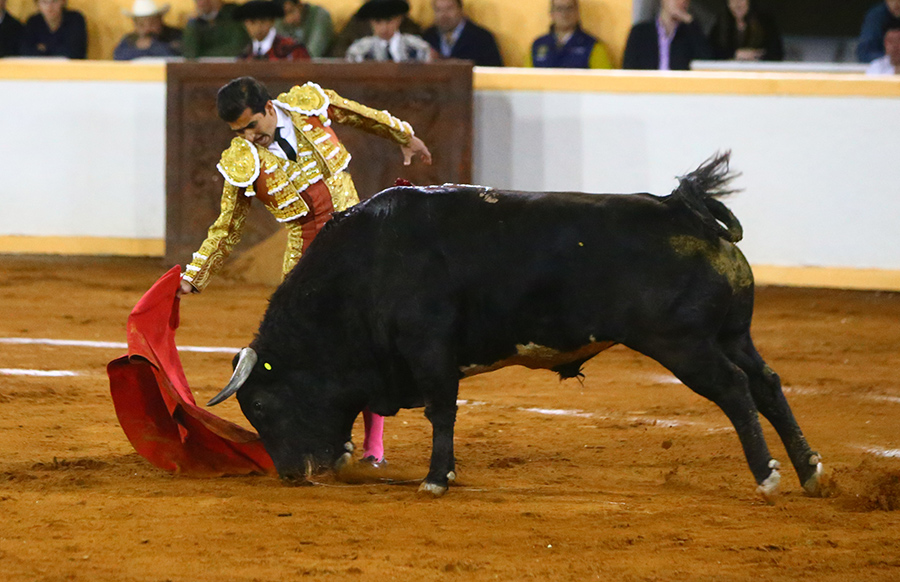 Juriquilla. 17-01-2020