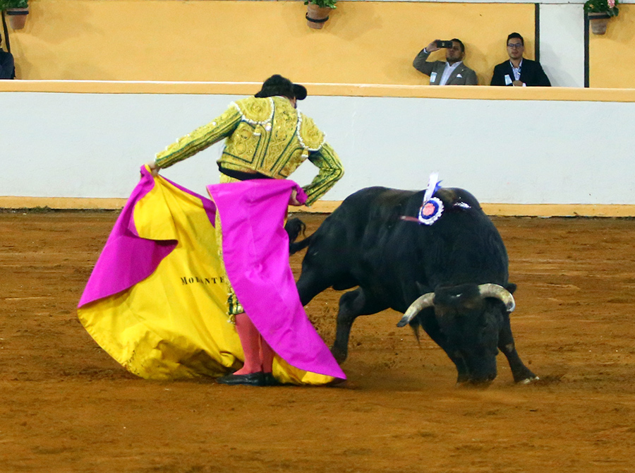 Juriquilla. 17-01-2020