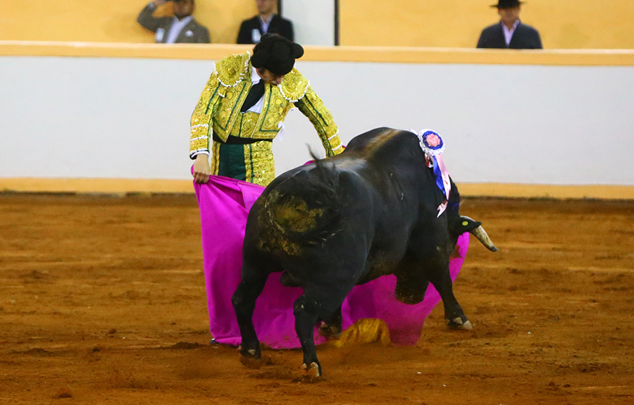 Juriquilla. 17-01-2020