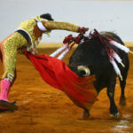 Juriquilla. 17-01-2020