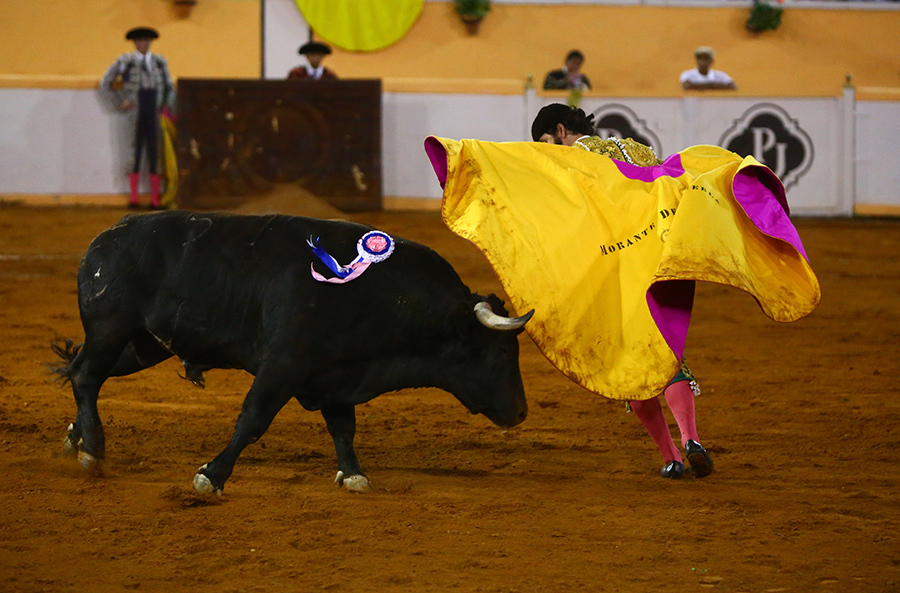 Juriquilla. 17-01-2020