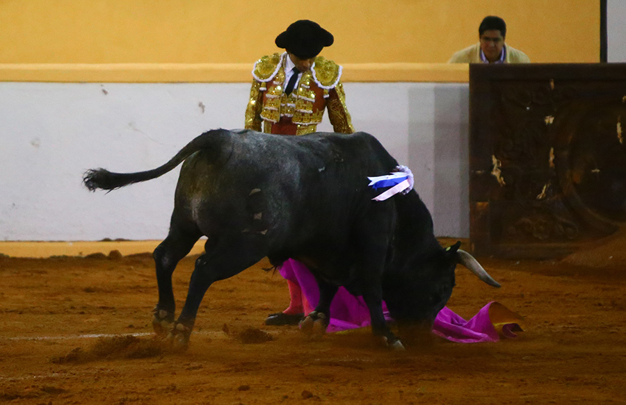 Juriquilla. 17-01-2020