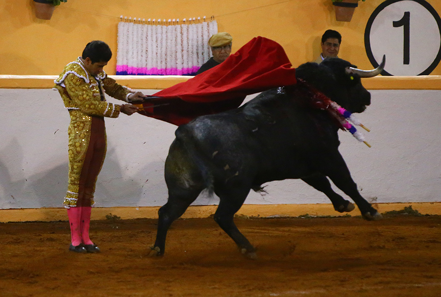 Juriquilla. 17-01-2020