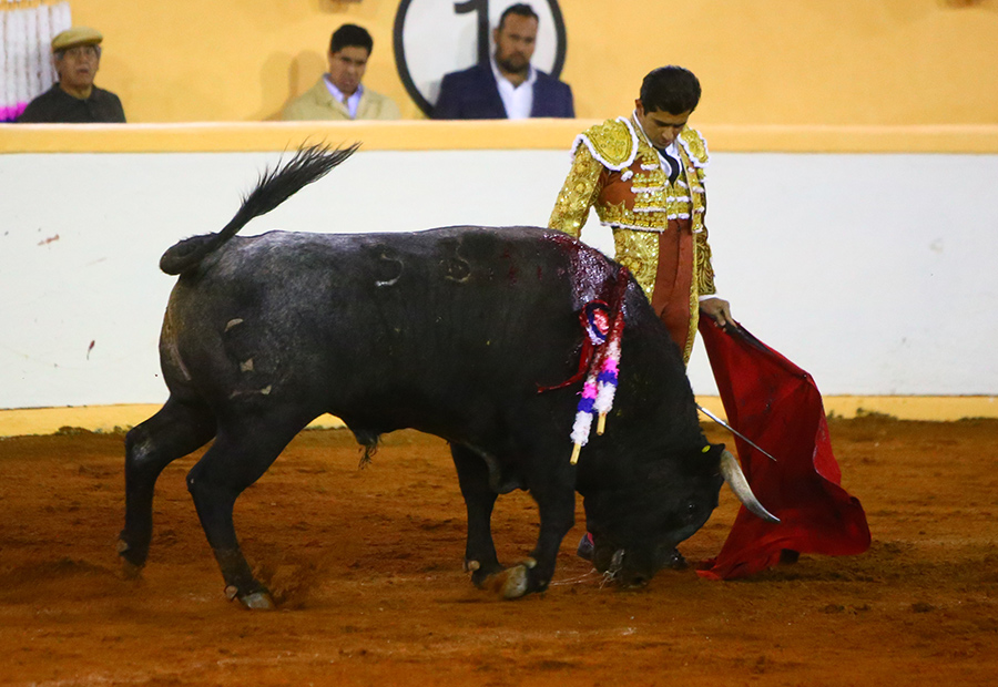 Juriquilla. 17-01-2020