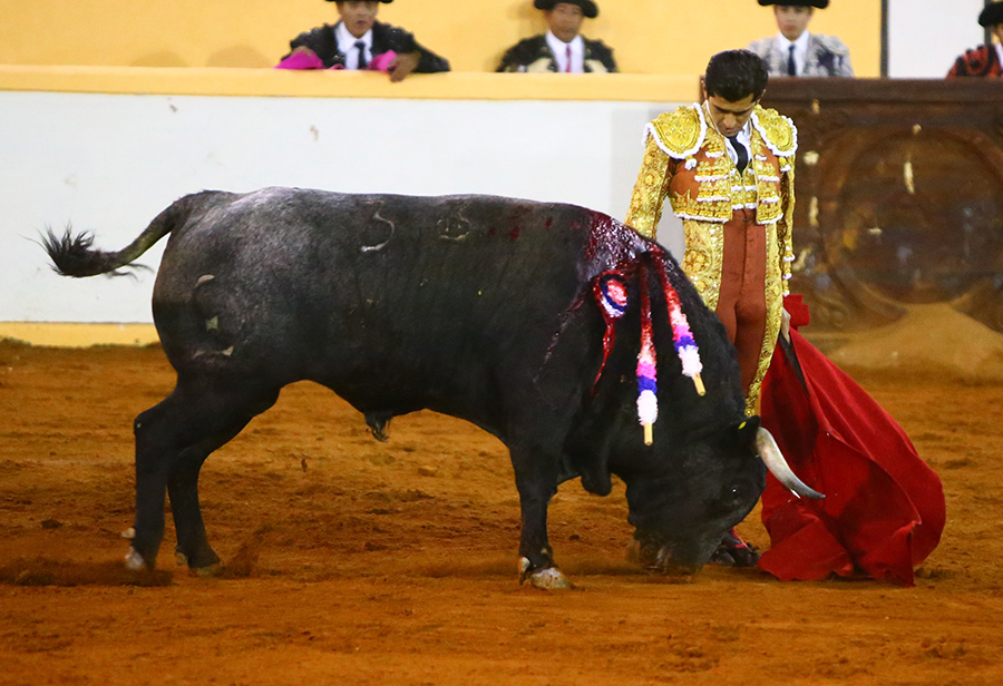 Juriquilla. 17-01-2020