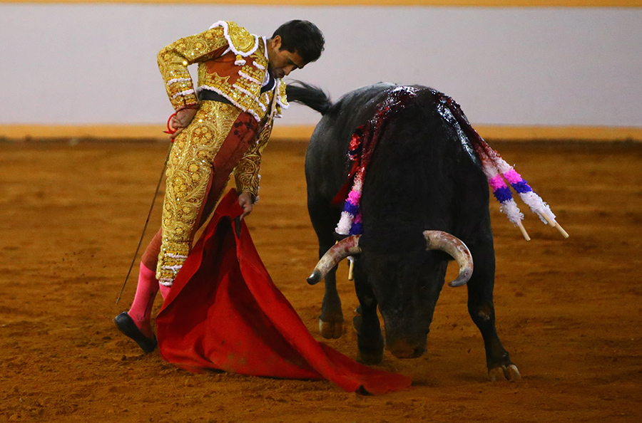 Juriquilla. 17-01-2020