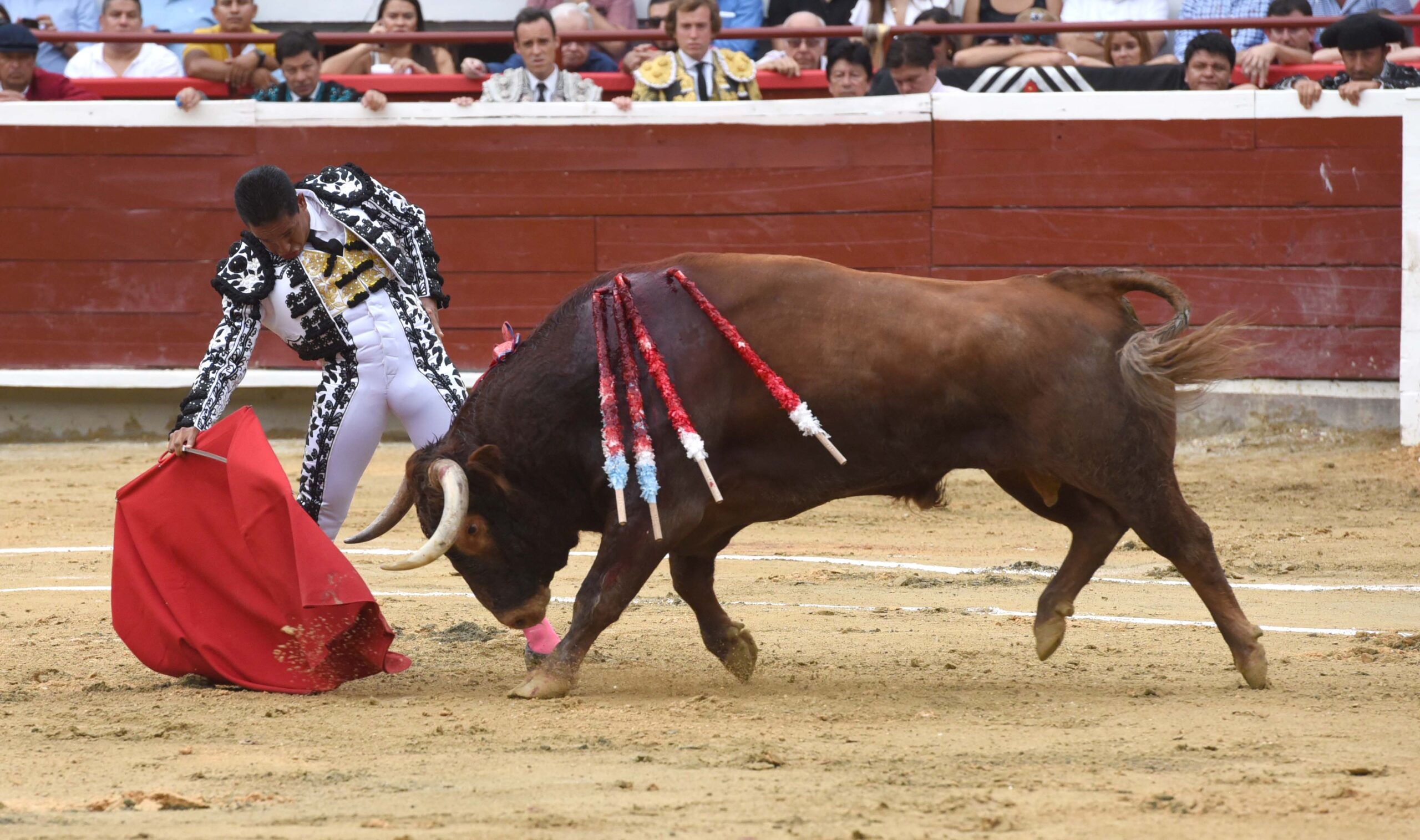 Cali (Colombia). Martes, 31 de diciembre de 2019.