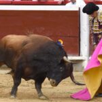 Cali (Colombia). Martes, 31 de diciembre de 2019.