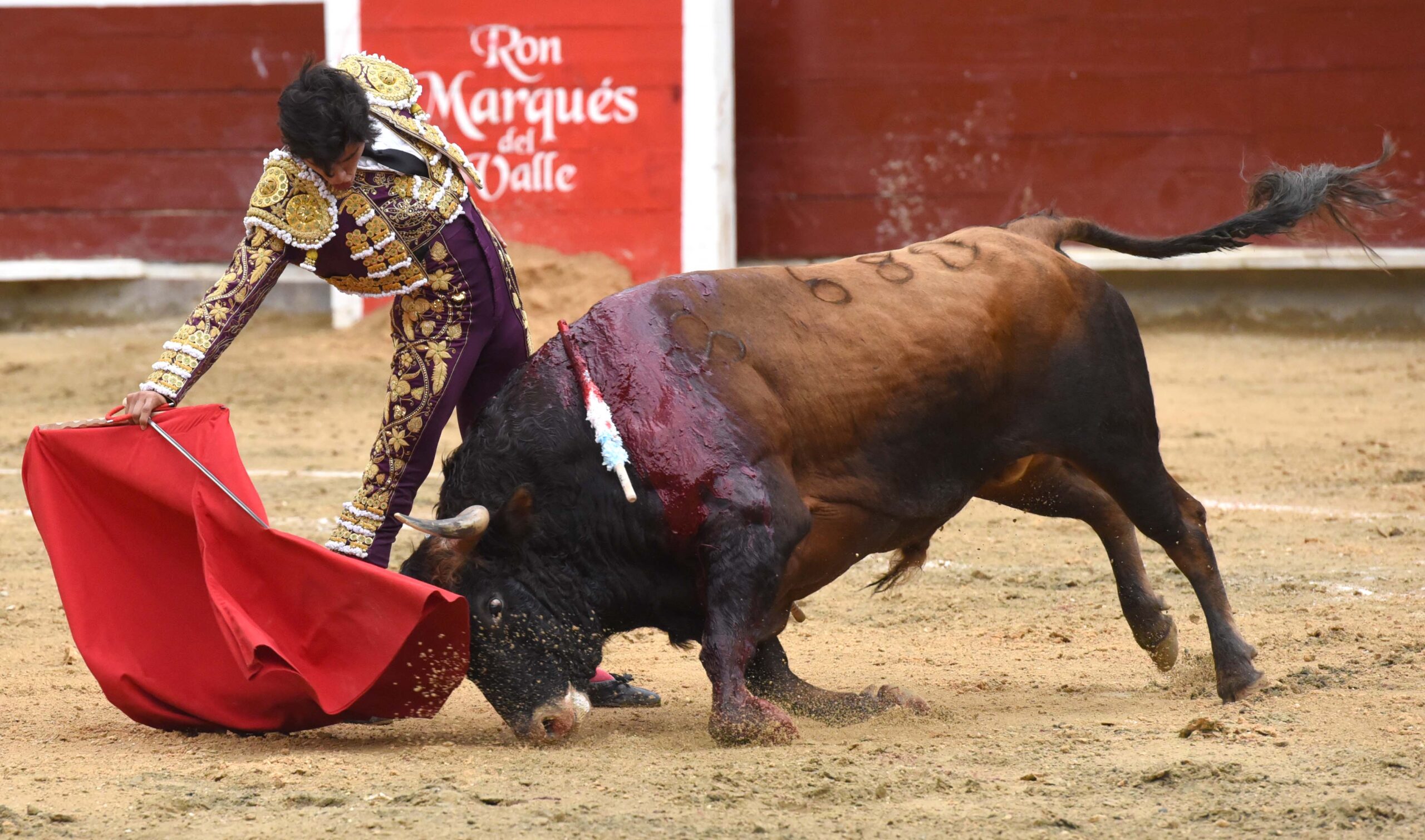Cali (Colombia). Martes, 31 de diciembre de 2019.