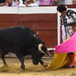 Cali (Colombia). Martes, 31 de diciembre de 2019.