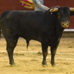 Cali (Colombia). Martes, 31 de diciembre de 2019.