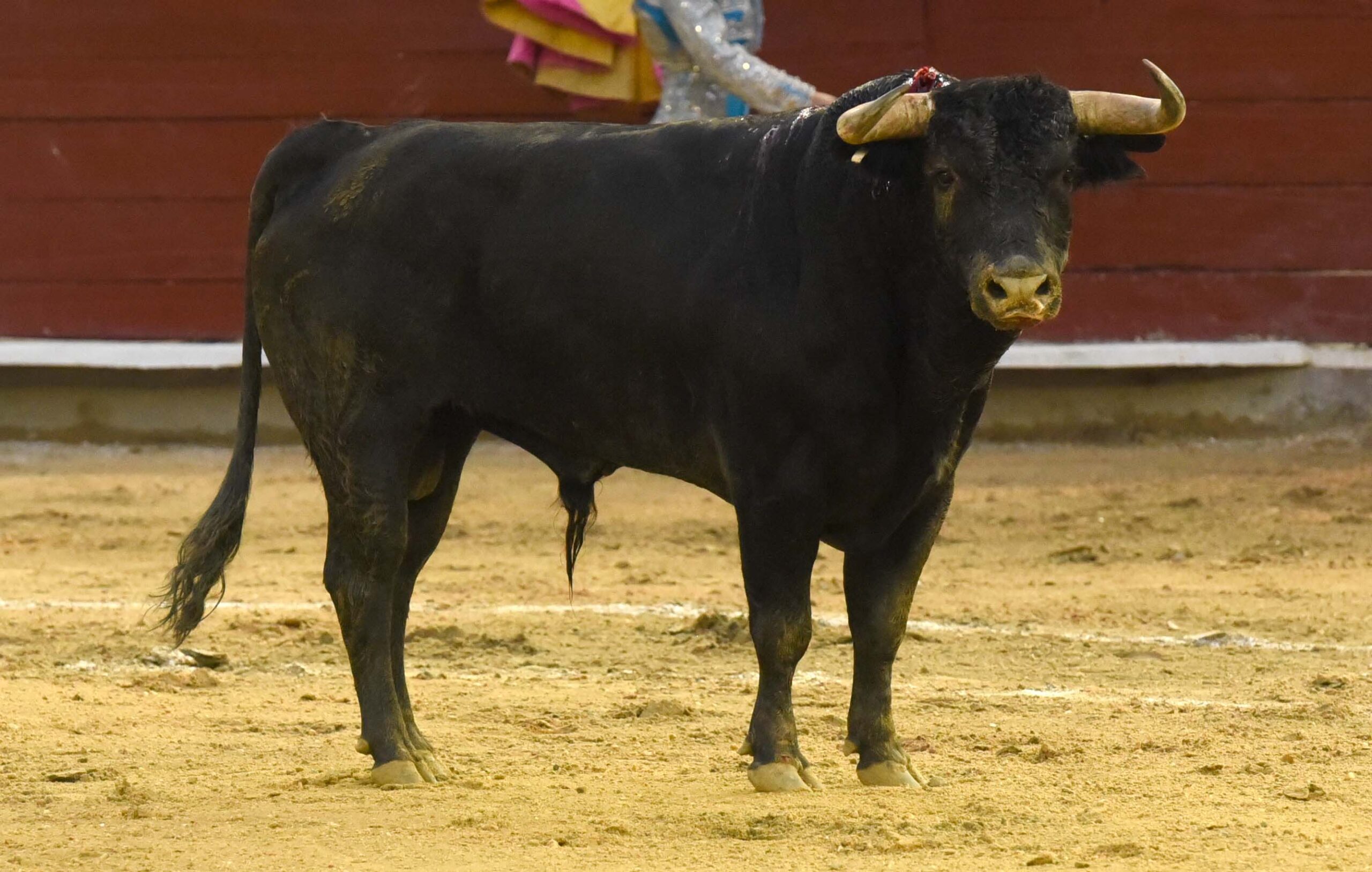 Cali (Colombia). Martes, 31 de diciembre de 2019.