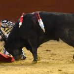 Cali (Colombia). Martes, 31 de diciembre de 2019.